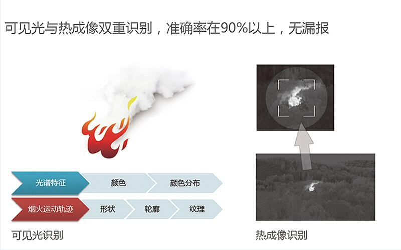 “森林卫士”自动识别
