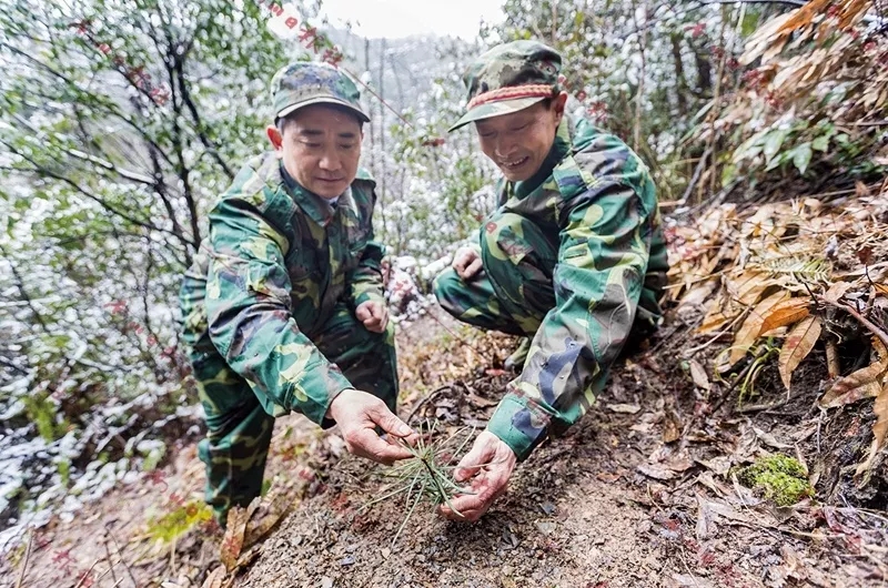 护林员管理系统